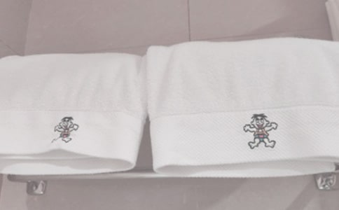 母愛(ài)的作文:愛(ài)的毛巾架