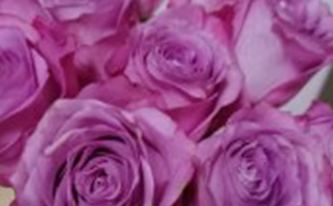 ٛ(z��ng)��õ������������