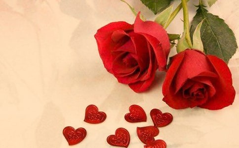 我愛藍玫瑰作文