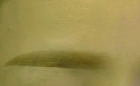 �����܌W���� �мɡ�üë����һ��ץ��