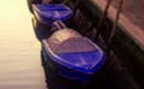 民豐湖美景小學(xué)生作文