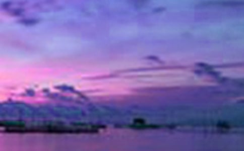 我心中的美景作文