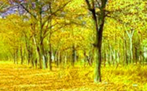 ����600�����ģ����x36ƪ��