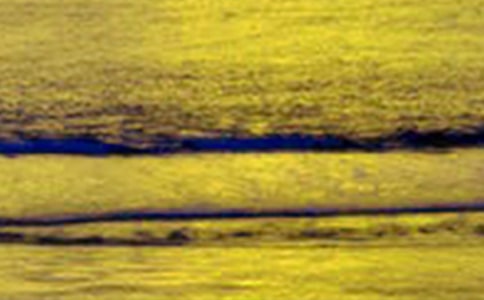 我愛(ài)雪山美景作文