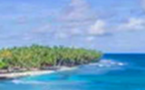 �����е���������