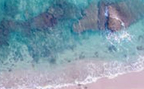 �ȳ���������