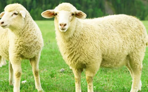 С�d��̰������x16ƪ��