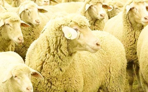 ����һ�^�옷��С�d��