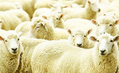 ���w����յľd�򡷽̰��O(sh��)Ӌ(j��)