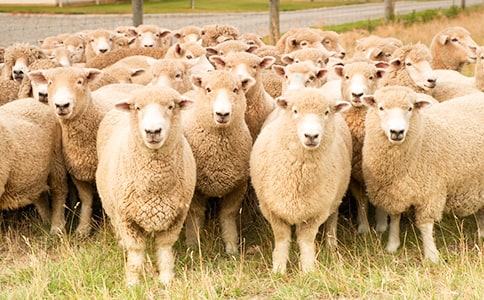 ͯȤ���^��d���i���Z������ţ�R���������ڞ����f���У����Ϳʁ������I(��һ����)