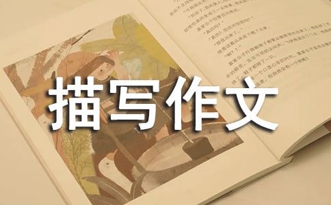 關于場面描寫作文