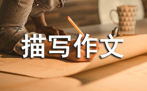 人物外貌描寫作文