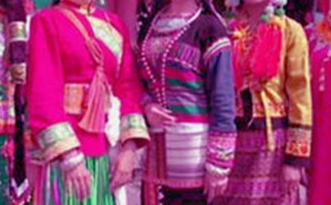 中華文化是民族之魂作文