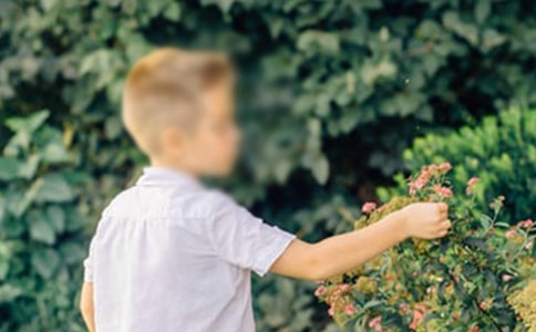 �x���ָ��к����и�