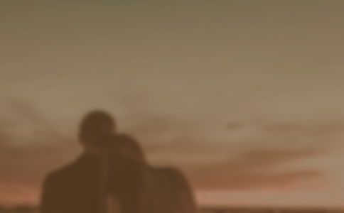 男女朋友保證書(shū)