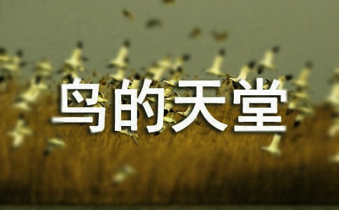鳥的天堂導(dǎo)游詞