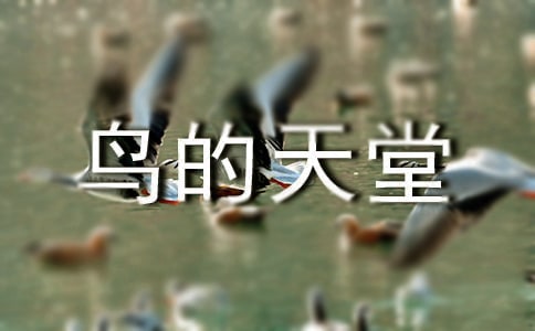 鳥的天堂導(dǎo)游詞(優(yōu)秀)