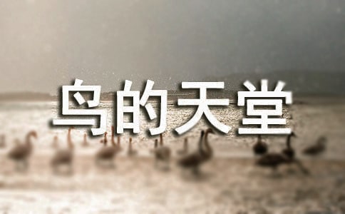 鳥的天堂導(dǎo)游詞(熱門)