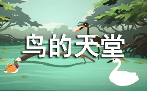 鳥(niǎo)的天堂導(dǎo)游詞(實(shí)用)