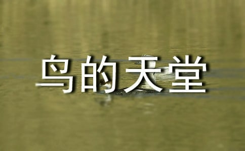 鳥的天堂導(dǎo)游詞(實用15篇)