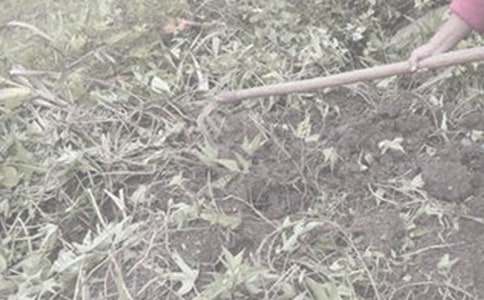 �w��r(n��ng)������