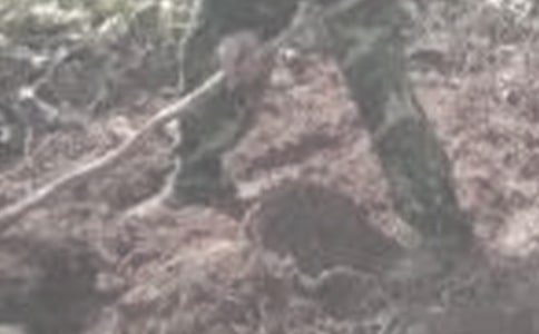 �ڼҸ��r(n��ng)������������(sh��)�`��(b��o)�棨ͨ��11ƪ��