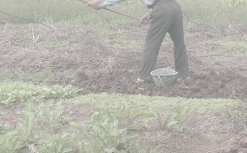 ���l(xi��ng)���r(n��ng)������700��