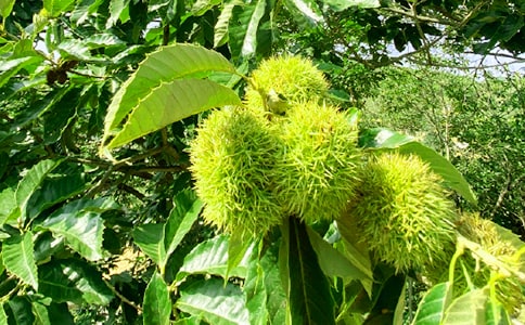 �r(n��ng)�Ҙ�