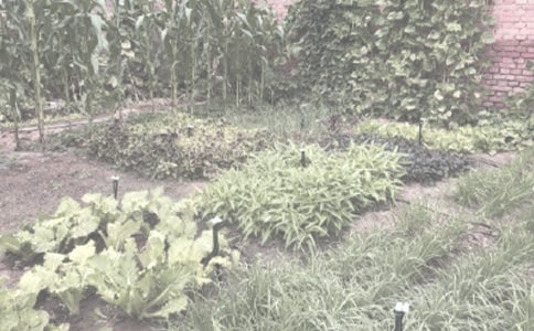 �h(hu��n)���h��h(hu��n)�������ذ��ؽ�����Ⱦ�^(q��)�r(n��ng)������Ⱦ�u(p��ng)�r(ji��)