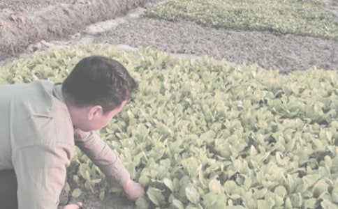 ���T�h�r(n��ng)����ն��YԴ���øśr