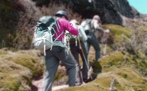 ��ɽ������