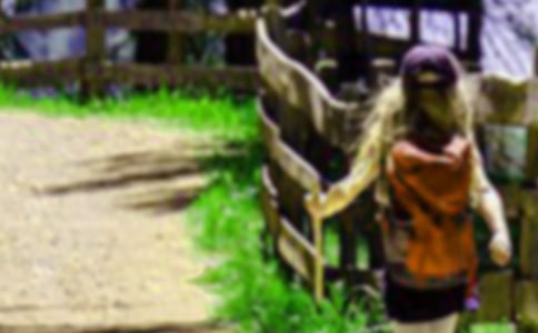 �P(gu��n)����ɽ������15ƪ[�]]