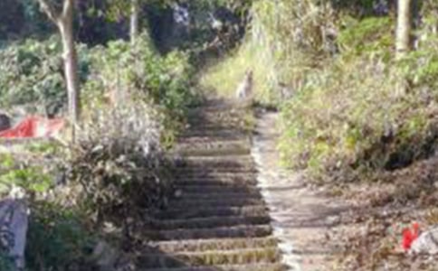 ��ɽС�W(xu��)��ӛ