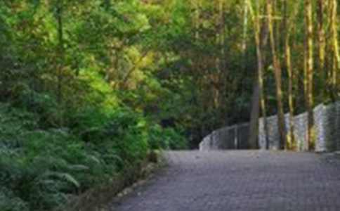 有關(guān)爬山的日記合集10篇