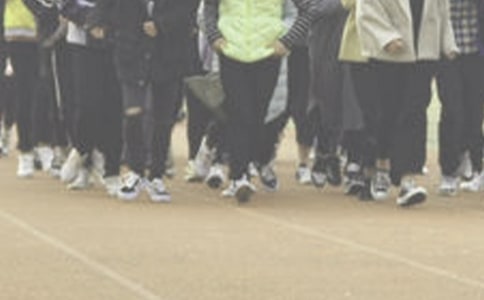 跑操的作文(通用29篇)