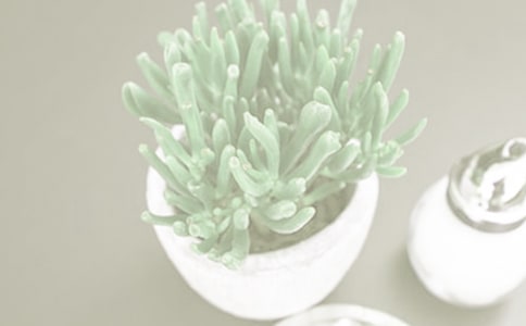 �а��ֹ��̰����������wС����