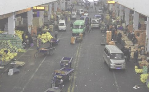 ��ʳ���l(f��)�}������ƶȣ�ͨ��5ƪ��