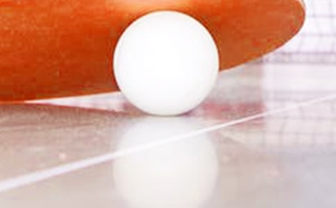 【優(yōu)】關(guān)于乒乓球的作文