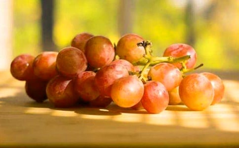 �P(gu��n)�����ѵ����ġ��᡿