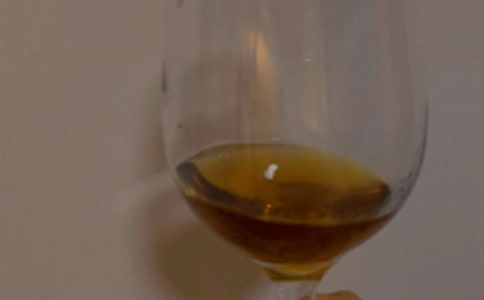 葡萄酒廠基地實(shí)習(xí)心得