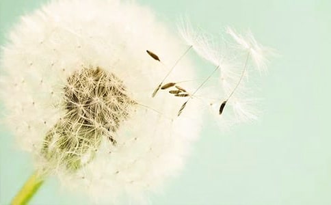 �����]���ѹ�Ӣ����5ƪ