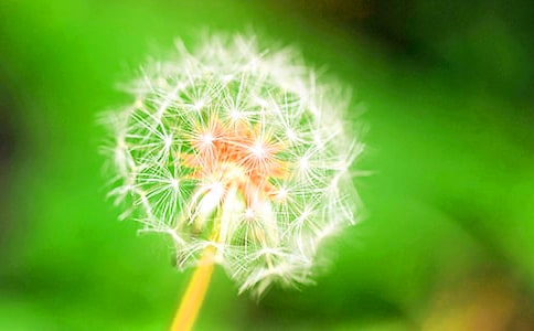 �P���ѹ�Ӣ�����ľ��A(11ƪ)