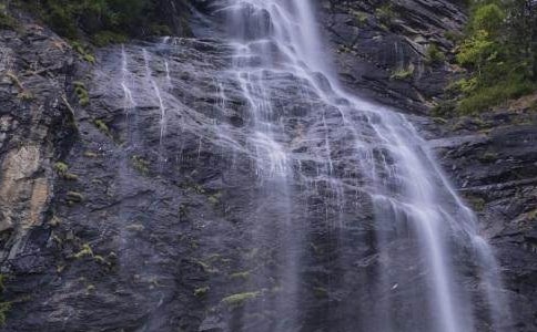 �����ٲ����箋����