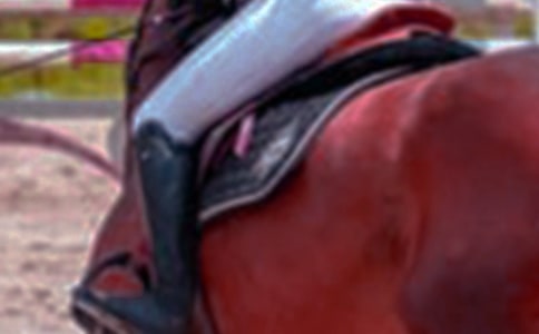 �а��w�����(d��ng)�T�Rȥ���ν̰�