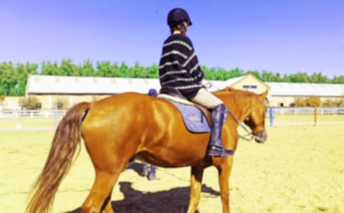 初中騎馬的作文