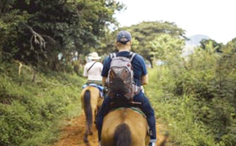 ��һ���T�R����