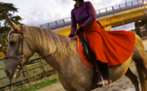 騎馬的初中作文