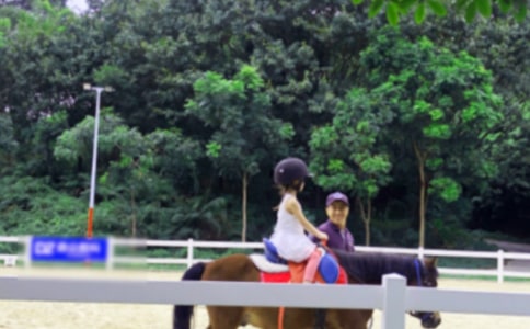 �T�R���R����400��