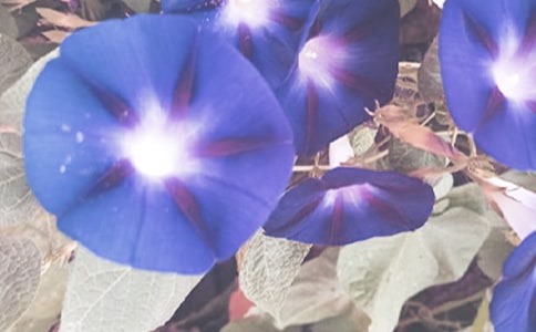 �����Ġ���������200��