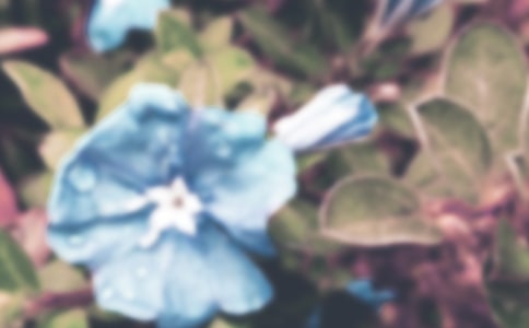 ����������